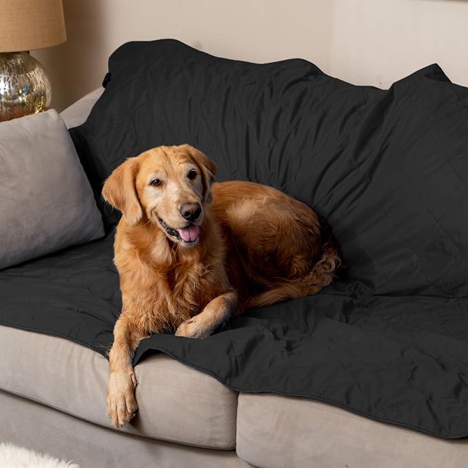 BRAWNTIDE Large Waterproof Outdoor Blanket, Extra Thick Fleece, Warm, Windproof & Sandproof, Quilted Stadium Blanket for Sports Events, Beach, Camping, Picnics, Dogs & Car, 82" x 55