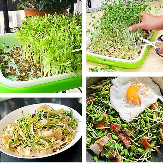4 Layers Sprout Trays with Extra Strength Plastic Shelf Soil-Free Healthy Wheatgrass Seeds Grower & Storage Trays for Garden Home Office | BPA Free PP Soil-Free Hydroponic Growing & Storage Trays for Mung Beans, Microgreens, Wheatgrass for Home, Indoor...