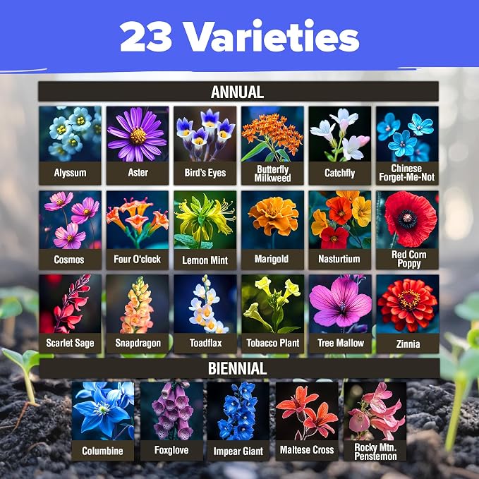 HOME GROWN Premium Wildflower Seeds Bulk Mix | 134,000+ Non-GMO USA Native Flower Seed for Planting Outdoors | 23 Perennial & Annual Varieties for Butterfly Garden | 3 oz
