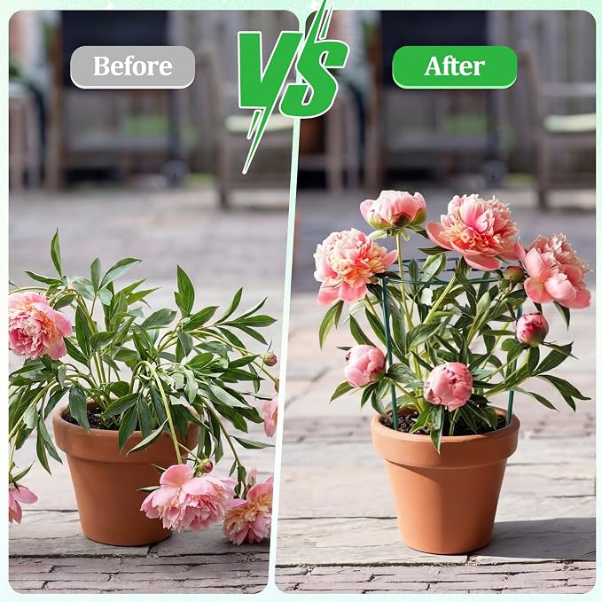 Novabright 1 Pcs 24" H x 24" D Large Peony Cage and Support Grow Through Plant Supports Round Garden Flower Stake Plants Ring Hoop for Outdoor Floral Tomato Vegetable Improve Planting Success Rate
