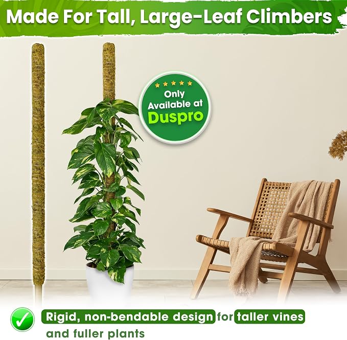 DUSPRO 59 Inches Natural Large Moss Pole for Big Plants, Monstera Plant Support, Plant Stakes for Indoor Plants, Plant Pole for Big Climbing Plants Indoor (1pc., 59'')