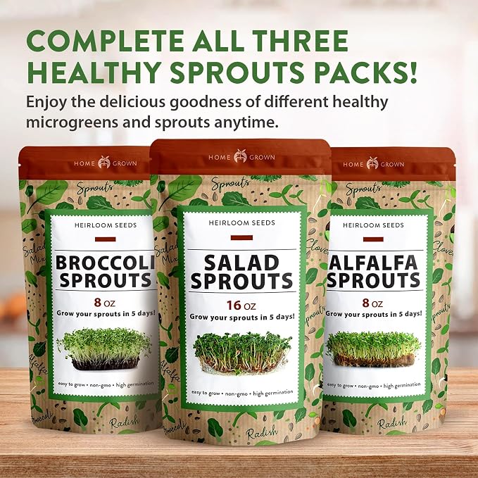 HOME GROWN Non GMO Alfalfa Sprout Seeds 16oz Bulk Pack with Thousands of Seeds Alfalfa for Sprouting & Microgreens Indoor Outdoor Growing Resealable Bag High Germination