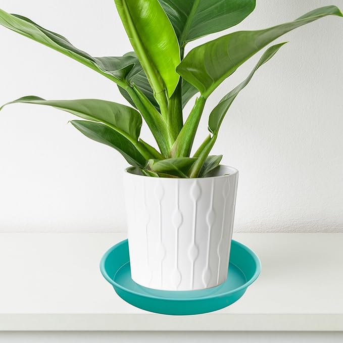 2 Pack of 10 inch Plant Saucer Gray, Heavy Duty Plastic Plant Saucer 10 inch Round, Durable Plant Tray for Pots, Plant Saucers for Indoors, Plant Trays for Planter 9"/10" (10", Teal)