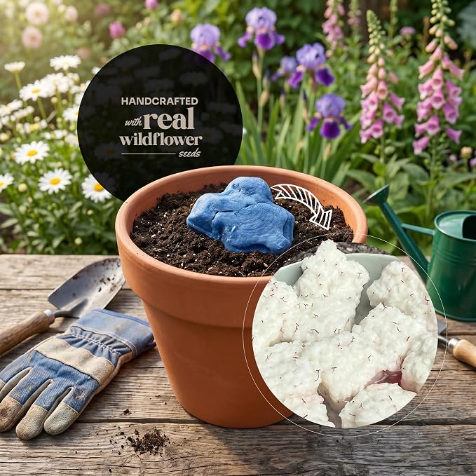 3D Onesie Seed Paper Gift Set – 24 Blue Plantable Baby Boy Onesie Shapes with Wildflower Seeds, Includes Cards & Double-Sided Tape for Baby Shower, Christening, Birthday & Special Occasions