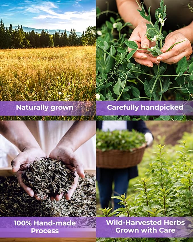50 Bags Chaste Tree Berry Сhasteberry Tea Vitex Tea Herb (Vitex Agnus-Castus) - 50 Count 2 g Bags Chaste Tree Berry Herbal Vitex Sauzgatillo