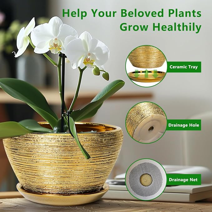Ceramicfor Ceramic Plant Pot Indoor - 9 Inch Planters for Outdoor Plants Decorative Plant Pot with Drainage Hole and Saucer Round Planter Modern Flower Pot Decorative for House Decor Gold