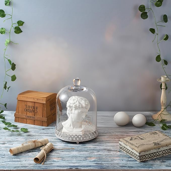 Twakutwku 12" Tall Large Sturdy Handmade Glass Cloche Dome with Metal Base in Shabby White for Plant, Terrarium, Collectibles, Candle. Cloche Glass Dome, Bell Jar Display Case (Shabby White, 12")