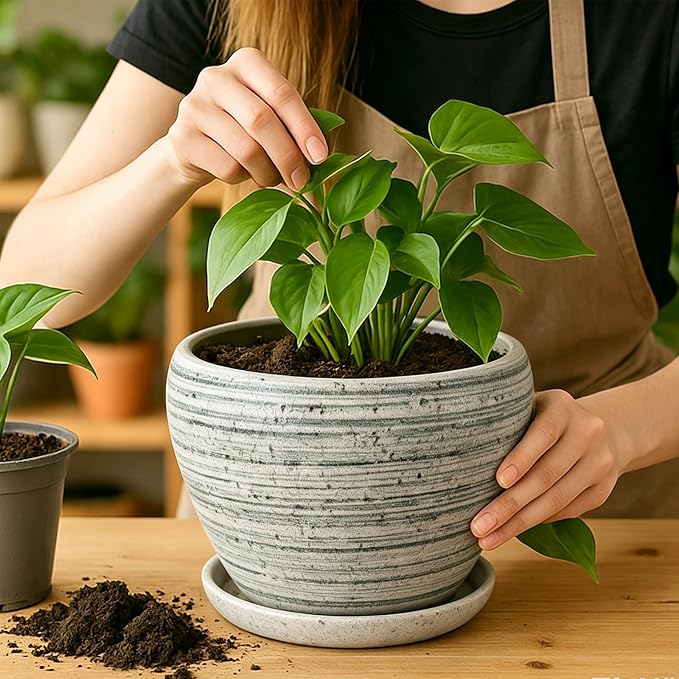 Deep Dream 8 Inch Plant Pots- Ceramic Pots for Plants with Drainage Hole and Saucer, Large Planter Pot for Indoor Plants Outdoor Decor, Brushed Green