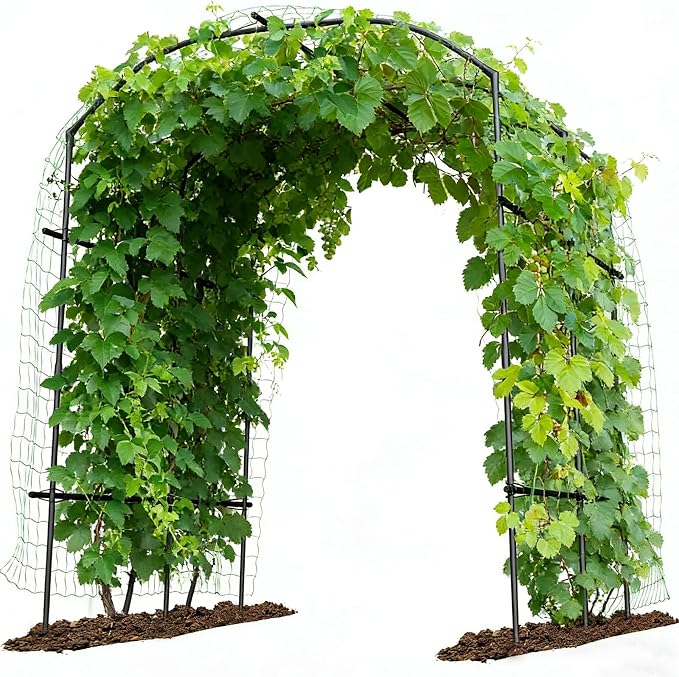 DoCred Tall Garden Arch Trellis for Climbing Plants, 87in x 75in Tall Metal Plant Support Trellis Archway for Climbing Vine Vegetable/Fruit/Flower Outdoor Garden Trellis Decoration, Black