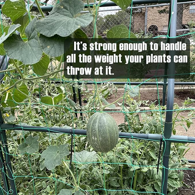 Trellis Netting, Heavy-Duty Garden Grow Netting for Climbing Plants, Outdoor Indoor Net for Cucumber, Tomatoes, Beans, Clematis, Fruits & Vegetables, Climbing Vining Plants (16.4' x 6.6'Ft)