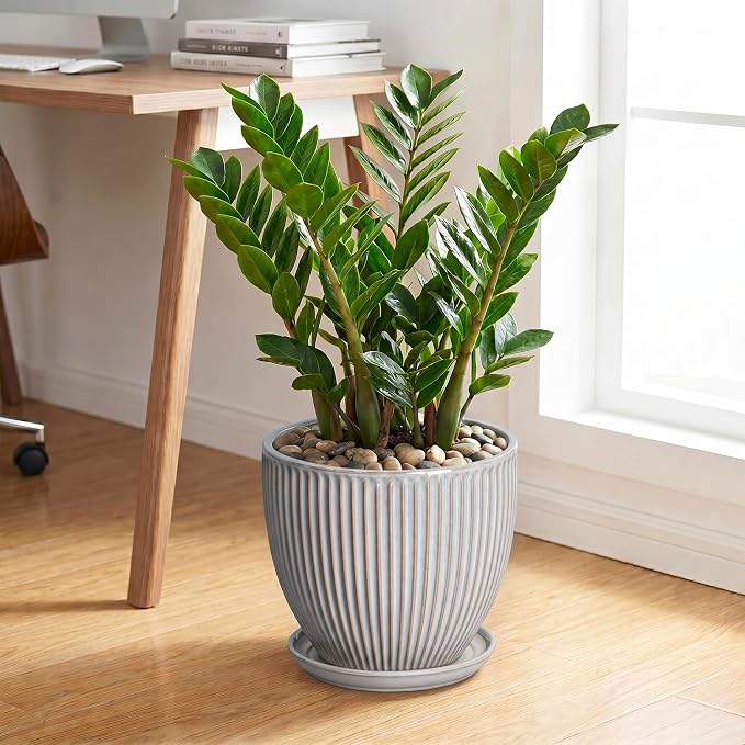 10 Inch Pots for Plants Indoor, Ceramic Planters with Drainage Hole and Saucer, Round Large Plant Pots for House Plants, Decorative Flower Planter, Porch Decor, Plant Lover Gifts, Grey