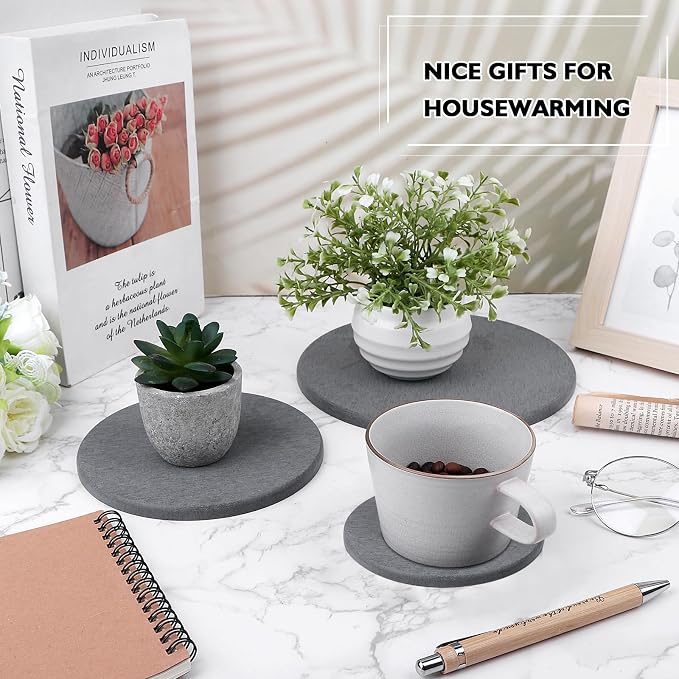 Diatomaceous Earth Coaster 4/6/8inch Diatomite Plant Saucer Stone Plant Sourcer Instant Dry Water Absorbent Diatomite Tray (Dark Gray)