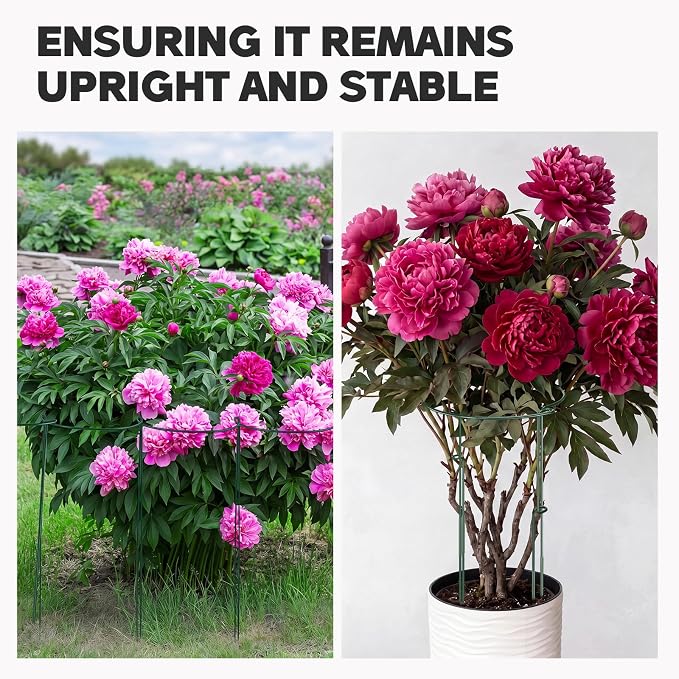 Menkxi 16 Pack Plant Support Stakes 30" H x 11.5" W Half Round Peony Cages and Supports with 66 ft Twist Tie Metal Plant Stakes for Indoor Outdoor Flower Peony Tomato Hydrangea