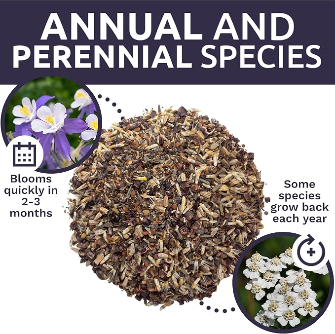 Deer Resistant Wildflower Seed Mixture - Bulk 1 Ounce Packet - Over 15,000 Deer Tolerant Seeds - Open Pollinated and Non GMO