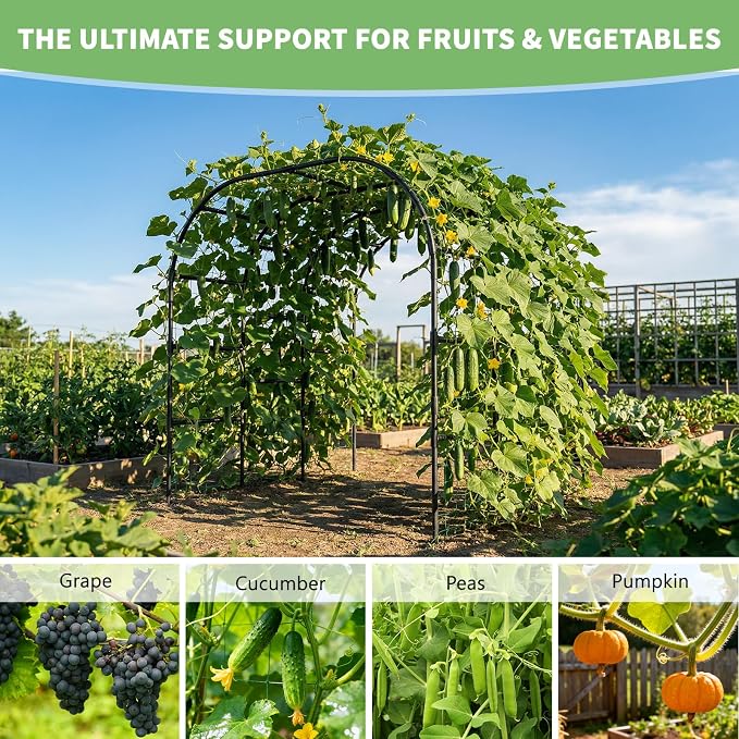 DoCred Garden Arch Trellis, 88in H x 88in L Large Garden Arch Arbor Trellis for Climbing Plants Outdoor Plant Support for Cucumber Grape Vine,Tall Metal Gardens Archway for Lawn Party Ceremony