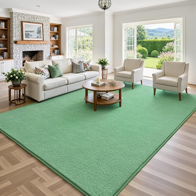 Keeko 4x6 Area Rugs for Living Room,Soft Washable Memory Foam Bedroom Rug | Indoor Throw Rug Low Pile Minimalist Non Slip Carpet for Kids Nursery Classroom Dorm Room Home Decor Sage Green