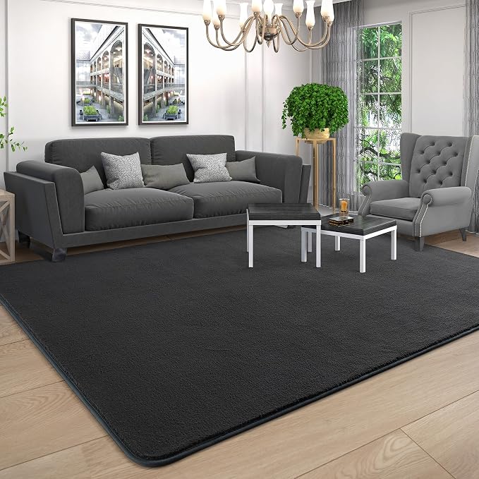 AROGAN 4x6 Area Rugs for Living Room Non Slip Dorm Bedroom Rug, Dark Grey | Modern Area Rugs with Soft Memory Foam, Minimalist Washable Indoor Floor Carpet for Dining Room Office Kids Playroom Decor