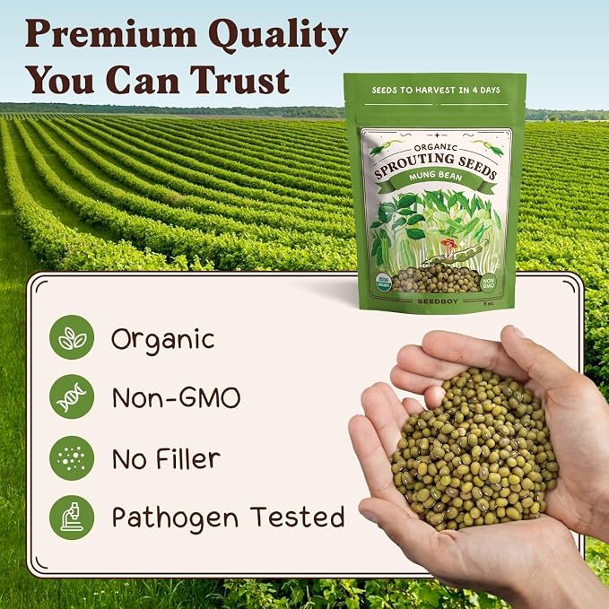 Seedboy Organic Non-GMO Mung Bean Seeds for Sprouting - Microgreens Sprouting Seeds - 8 oz Bag Makes 6 Quarts / 24 Servings (Mung Bean)