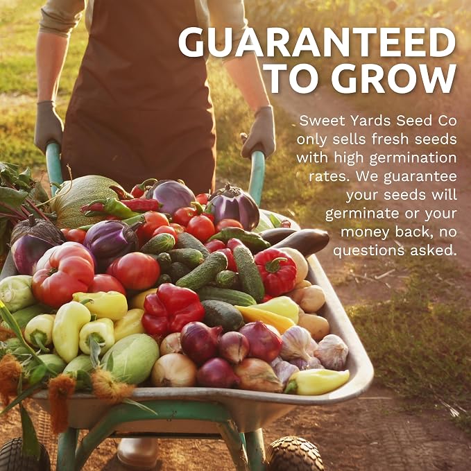 Organic Tomato Seeds Variety Pack - 12 Individual Packs - 2026 Season - Roma, Cherry, Black Krim, Yellow Pear, Pineapple and More! for Indoor & Outdoor Planting (Non-GMO, Certified Organic)