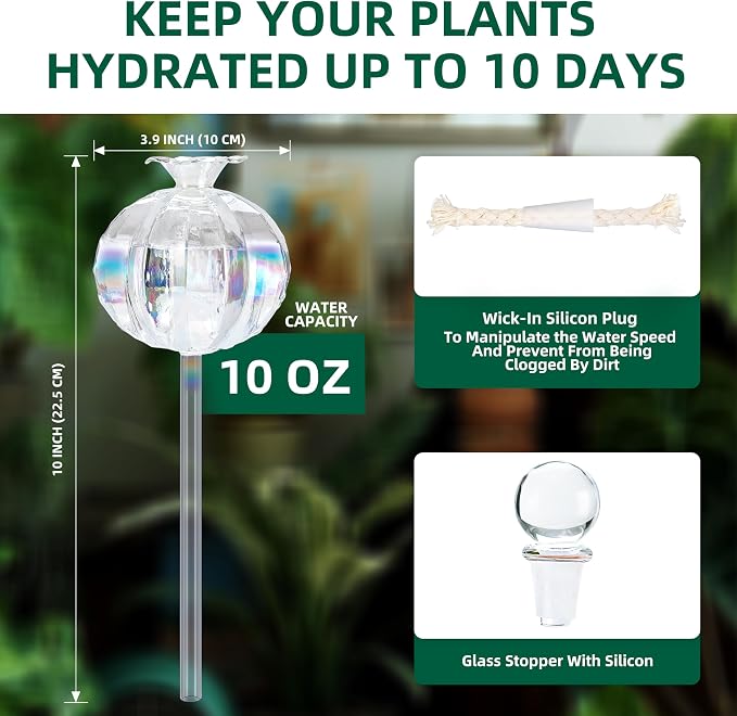 Soilagua 10 oz Large Top Fill Cactus Plant Watering Globes, Light Iridescent Glass Water Bulbs, Slow Release Self Watering Devices, Vacation Plant Watering System Self Watering Planter Insert, 4 Pack