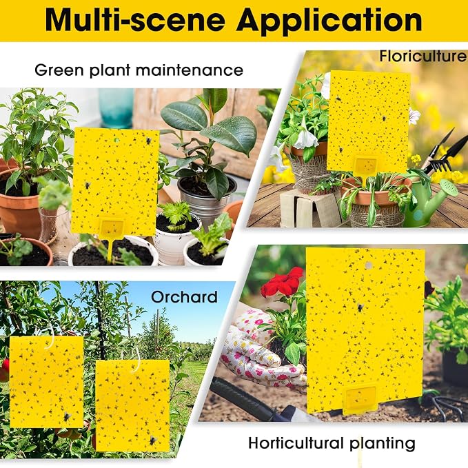 Qualirey 220 Pcs 7.87 x 9.84 Inch Yellow Sticky Traps for Plant Gnats Dual Sided Fruit Fly Sticky Traps for Indoor Outdoor with Twist Ties & Plastic Holders for Insect, Fungus Gnat, Whiteflies, Aphids
