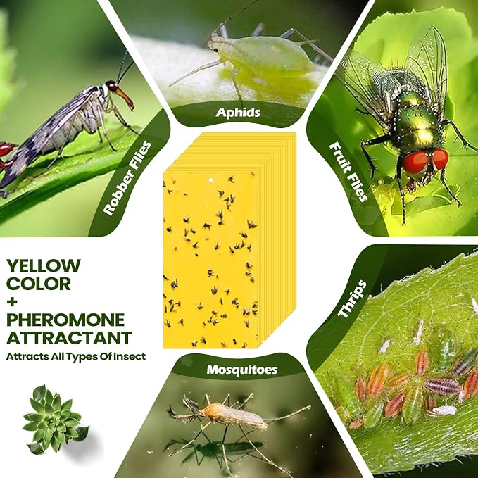 Qualirey 300 Pcs 7.87 x 3.9 Inch Yellow Sticky Traps for Gnats Double Sided Sticky Trap for Plant Whiteflies, Aphids, and Black Flies with Twist Ties, Indoor and Outdoor