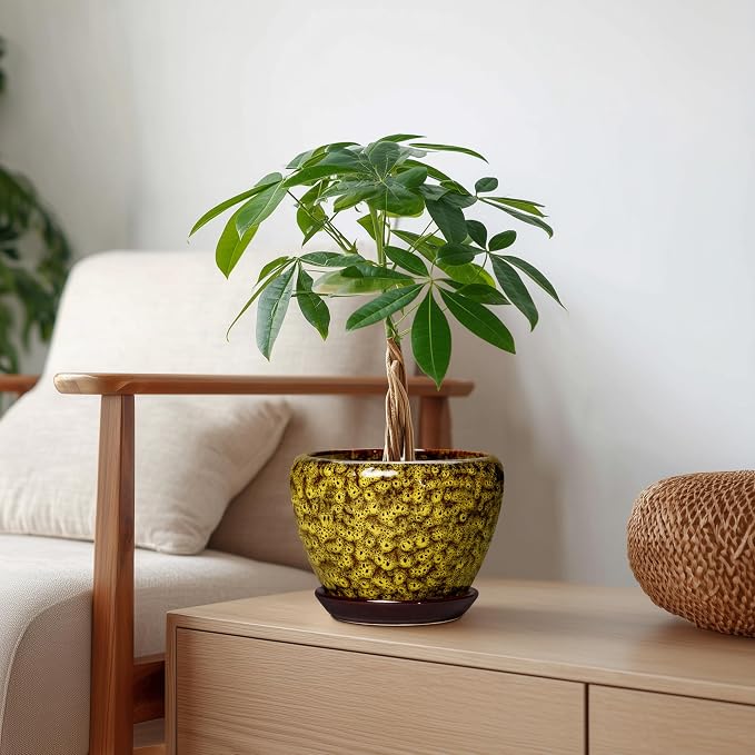 6 Inch Ceramic Plant Pot, Yellow Leopard | Drainage Hole and Tray, Indoor Outdoor, Decorative Round Planter, Small Flower Pot