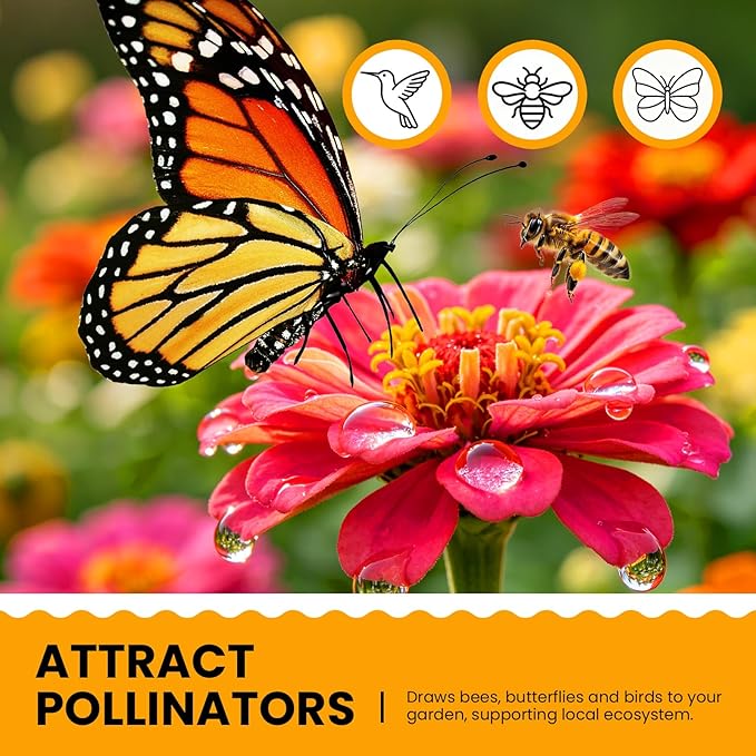 Dwarf Zinnia Seeds for 2026 Planting, 6000+ Flowers Seeds, 6 Vibrant Colors Mix & Large Bloom, Heirloom Wildflower Seeds for Pollinator Garden Outdoor Borders, Easy to Grow Annual Flowers