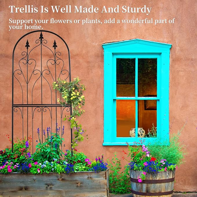 Garden Trellis 70.9" H x 25.6" W Metal Premium Quality Material Rust-Resistant Climbing Frame for Vines Flowers Elegant Garden Roses Vine Ivy Clematis Trellises Black