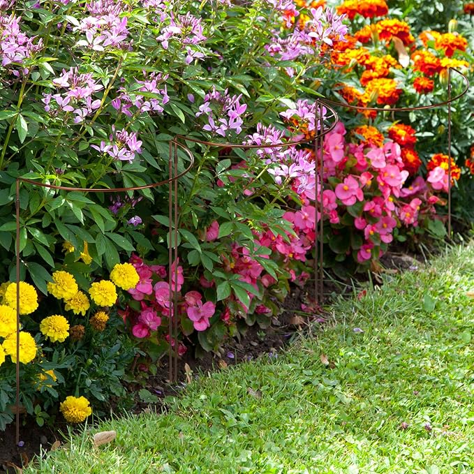 Vercraft 4 Pack 18 x 35 Inch Half Round Plant Support Stakes 1/4 Inch Heavy Duty Rustproof Metal Plant Cage, Weather Resistant Half Circle Garden Border Rings for Peony Hydrangea Rose Outdoor Flowers