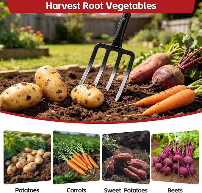 47IN Garden Pitchfork, One-piece Design 4-Tine Garden Fork Heavy Duty Digging Manure Forks for Potato Digging Mulch Spreading Loosening Soil Hay Compost Aeration Transplanting Farm Garden
