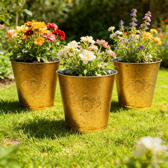 3 Pack Gold Metal Buckets, 6.5" x 6.6" Galvanized Decorative Pails for Floral Arrangements, Plant Pot Covers, Party Favors, Wedding Table Decor and Small Storage
