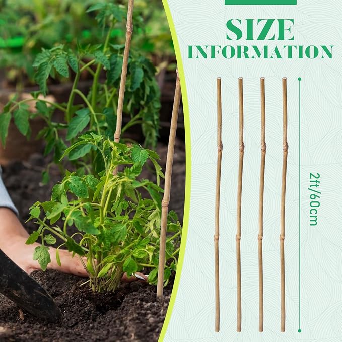 Suclain 100 Pcs Bamboo Plant Stakes Natural Garden Support Sticks for Climbing Plants Sturdy Bamboo Garden Stakes for Tomato, Beans, Flowers and Potted Plants, Vegetables, Indoor & Outdoor (2 ft)
