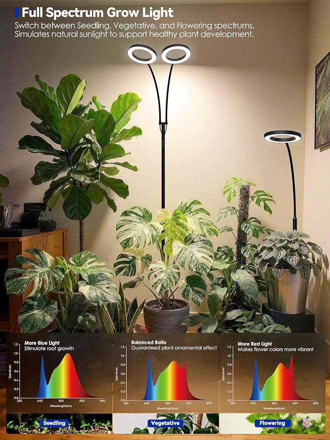 GLOWRIUM Grow Lights for Indoor Plants, Full Spectrum LED Grow Light Floor Lamp with Stand Adjustable Height and Angle, Black Plant Light with 3/9/12H Grow Light Timer (Black, Single Head)