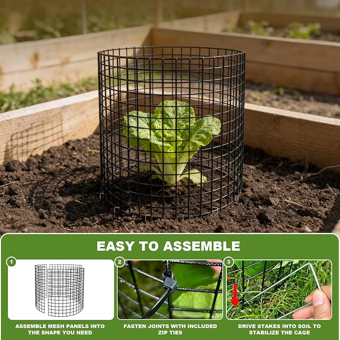 Plant Protector from Animals, 10 Set Plant Cages for Outdoor Plants 12'' x 12'' Metal Wire Protectors for Plants, Protection Cages with Stakes & Zip Ties, to Keep Rabbits Chicken Duck Out for Garden