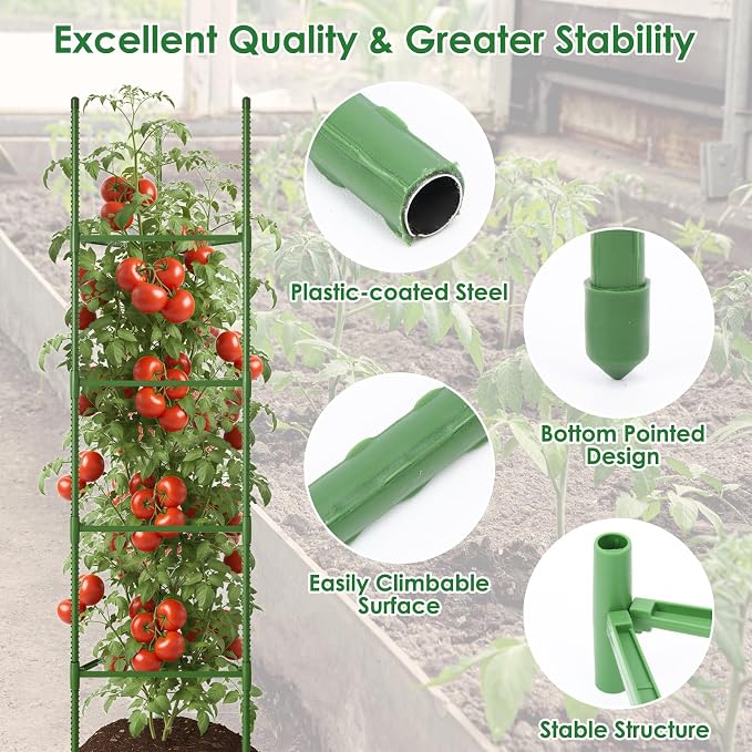CEWOR Tomato Cage - 6 Pack Tomato Trellis, 63 Inch Extra Tall Tomato Cages for Garden, Garden Stakes Triangle Plant Stake Structures for Climbing Plants Outdoor, Pots, Raised Garden Bed, Vegetables