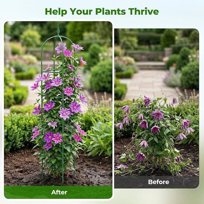 2 Pack Garden Obelisk Trellis for Climbing Plants, 6 FT Metal Rustproof Plant Support Rose Trellis, Tower Potted Cages for Flowers Fruits Vegetable Vines Indoor & Outdoor, Green(4 Tiers)