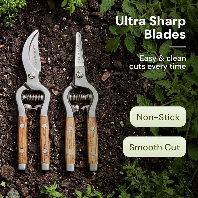 Garden Pruning Kit – Bypass Pruner and Precision Snips Set for Gardening, Plant Care, Indoor & Outdoor Plants, Rose Pruning, Garden Shears, Plant Trimming, and Floral Scissors