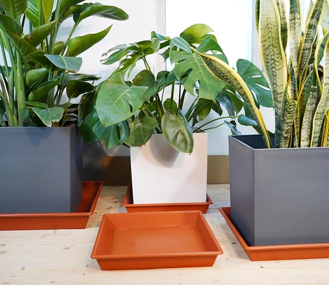 NIMYAU Square Plant Saucer 14 Inch 5 Pack，Plant Stand Plant Trays for Pots Heavy Duty Plastic Plant Saucers for Indoors Outdoors, Flower Pot No Holes Terracotta Plant Lover Gardening Gifts