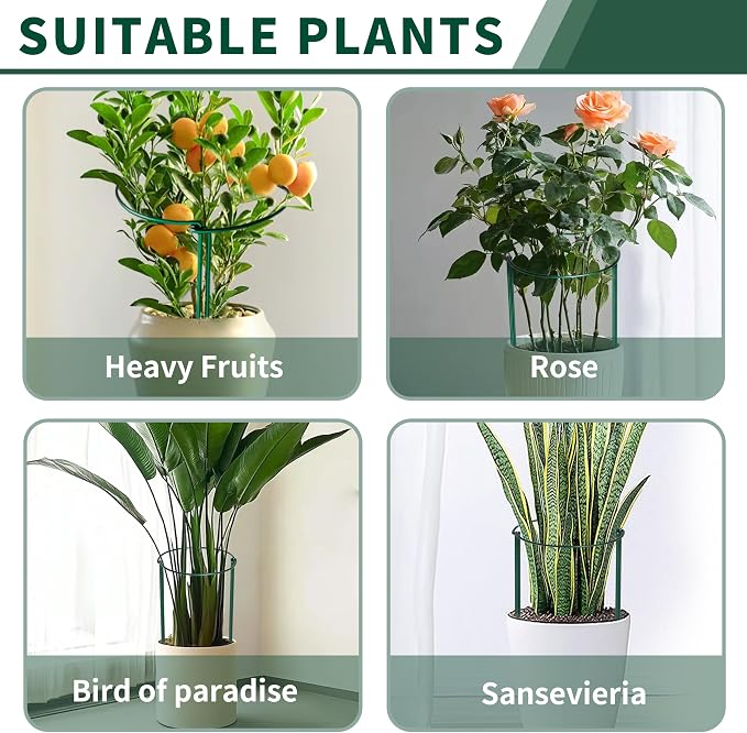 10 Pack Peony Cages and Supports, 10" (W) x 24"(H) Plant Support, Heavy-Duty Metal Plant Support Stakes, Plant Stakes for Outdoor & Indoor Plants, Perfect for Flowers and Vegetable