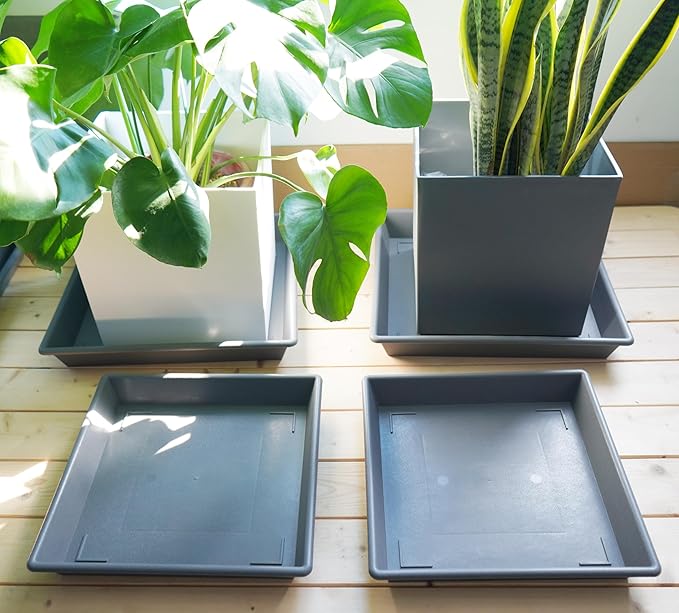 NIMYAU Square Plant Saucer 6 Inch 5 Pack6 8 12 14 16 18 20 Plastic Plant Saucers for Indoors Outdoors, Flower Pot No Holes Plant Drip Trays, Plant Trays for Pots Heavy Duty
