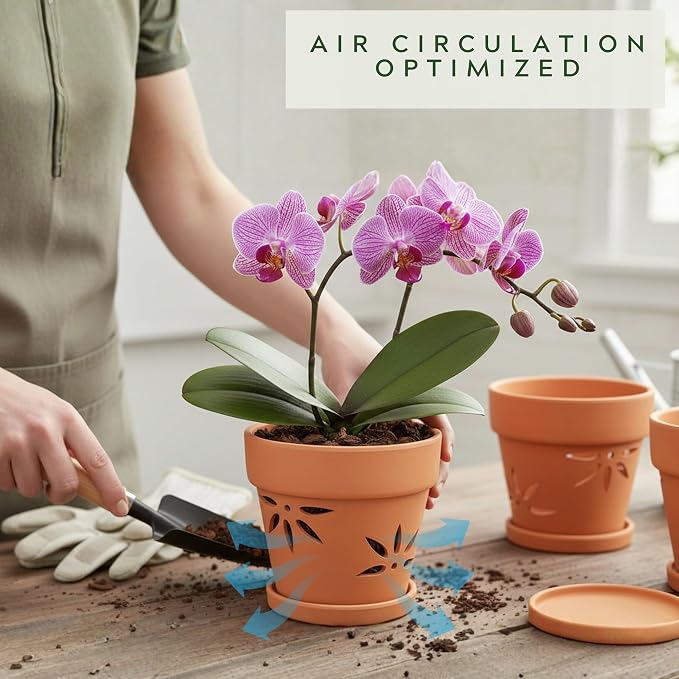 Handmade 3 Pack 6 inch Terracotta Orchid Pots with Holes and Saucers, Clay Orchid Planter Pots for Repotting, Small Terra Cotta Vase, Ceramic Plant Flower Pot Indoor Outdoor