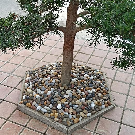 YISZM 20lbs Large River Rocks for Landscaping, 3-4" Decorative Pebbles for Garden Design, Hand-Picked Smooth Stones for Fish Tank, Flower Pots, Indoor Water Fountains, Pathways, Backyard, Mixed Color
