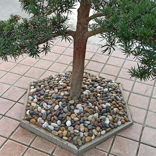 YISZM 40lbs Large River Rocks for Landscaping, 3-4" Decorative Pebbles for Garden Design, Hand-Picked Smooth Stones for Fish Tank, Flower Pots, Indoor Water Fountains, Pathways, Backyard, Mixed Color