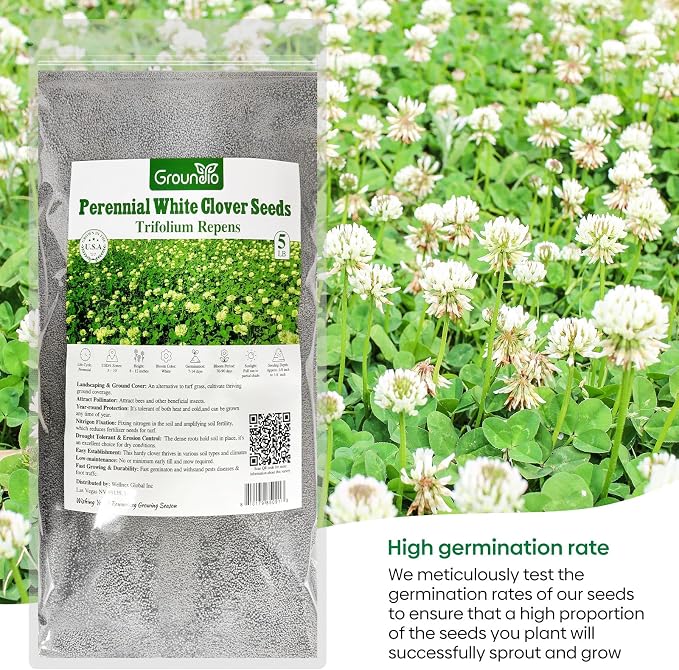 Groundio White Clover Seeds, 5 lbs, Perennial White Dutch Clover Seed for Lawn, Ground Cover, Nitrocoated and Inoculated, Attracts Pollinators(Trifolium Repens)