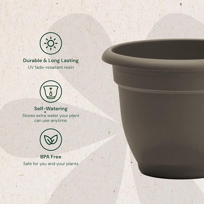 Bloem Ariana 6" Self-Watering Plastic Planter - Rolled Rim Indoor/Outdoor Garden Pot, Peppercorn