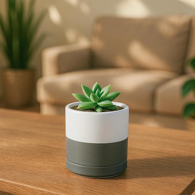 D'vine Dev 3.5 Inch & 4.7 Inch Ceramic Planter Pots for Plants with Drainage Hole and Saucer, X-Small Plant Pots Set, White/Speckled Grey, 94-G-XS-6