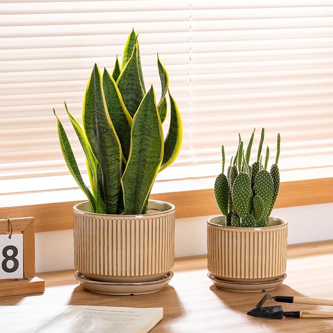 SURE YUESI Ceramic Plant Pots Set of 3, Indoor Outdoor Planters with Drainage Hole and Saucer, Ceramic Flower Pots for Indoor Plants, 4.3+5.5+6.8 Inch, Home, Garden, Patio and Office, Glossy Beige