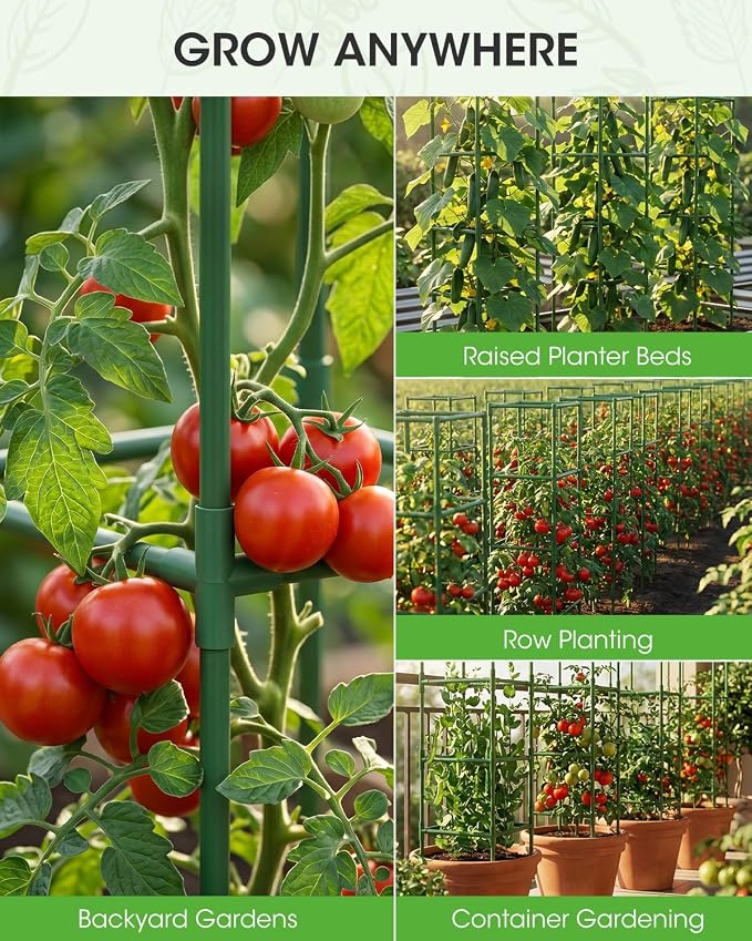 3 Pack Tomato Cages,Square Tomato Plant Stakes Support Cages Trellis for Garden Climbing Vegetables Flowers Fruits,Extra Bold