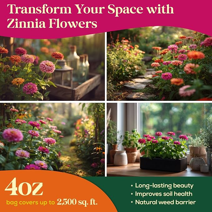 Seedphony Zinnia Seeds Pack 4 oz - 15,300 Non-GMO Heirloom Zinnia Seeds for Planting, Perennial Flowers in Waterproof Seed Packet, Wildflower Seeds for Planting Garden Indoor & Outdoor Gardening